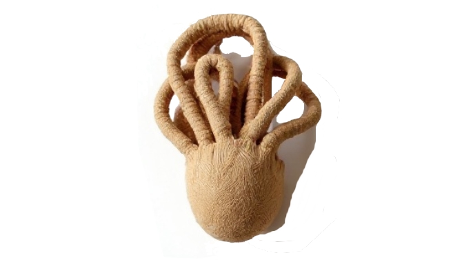 El Yapımı Seramik Vazo